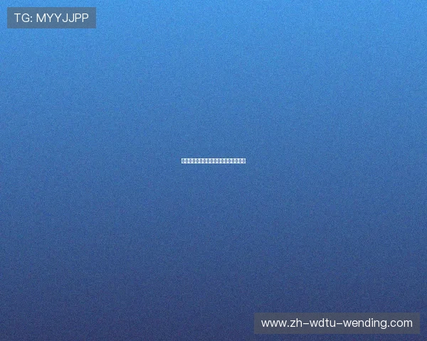 火箭队球员支持体系及球队管理结构解析