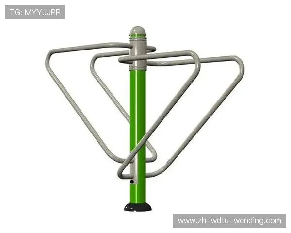 健身器材双手拉训练动作与效果解析