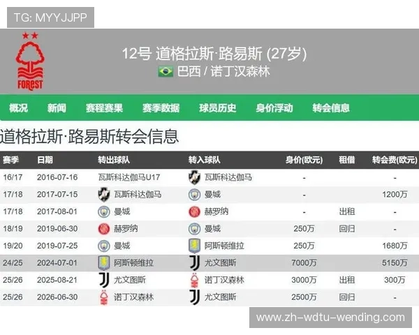 英超球队球员人数限制与阵容管理