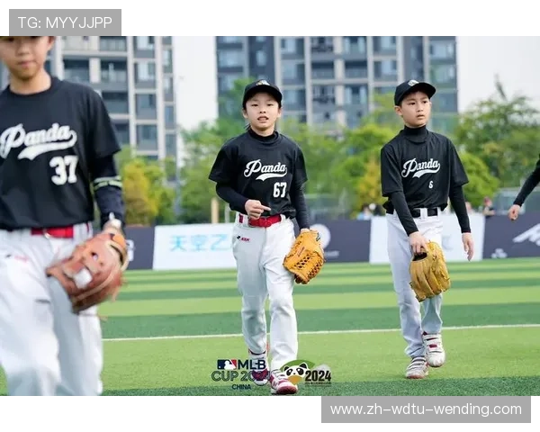 青少年棒球教学:从基础动作到高级技能的逐步提升